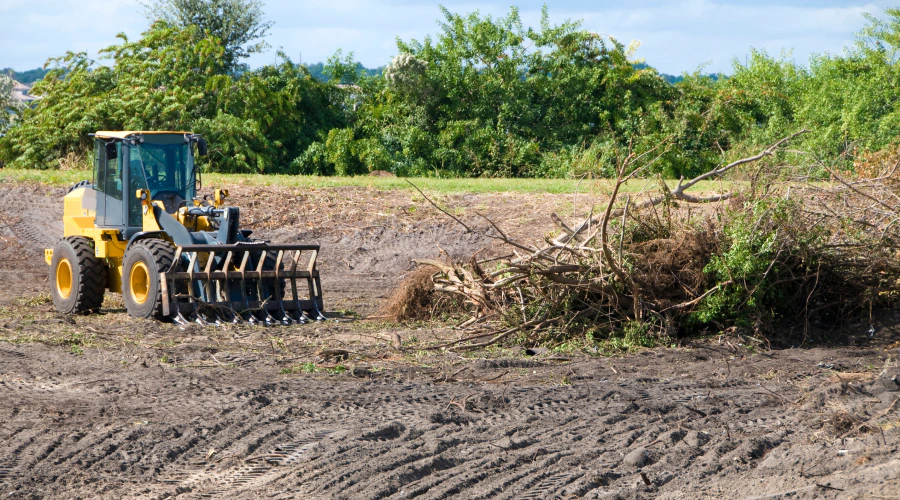 Brush Clearing