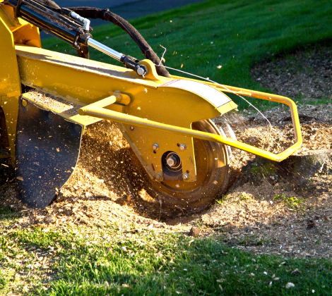 Stump Grinding Card