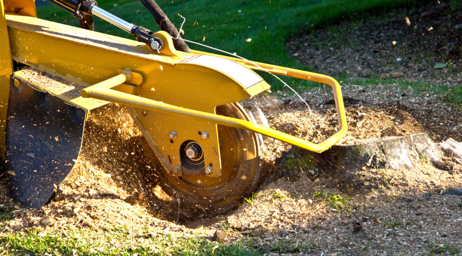 Stump Grinding