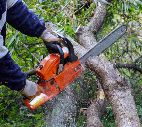 Tree Trimming Card